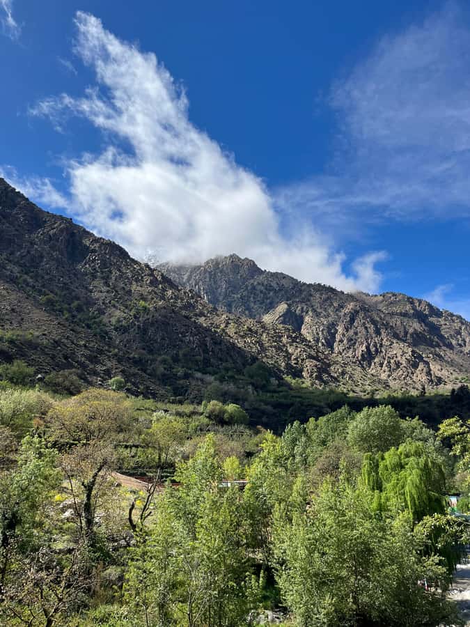 Marrakech: Ourika Valley Waterfalls Hike & Traditional Lunch - Who will enjoy this Ourika Valley day trip?