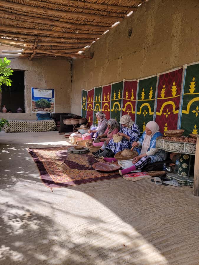 Marrakech: Ourika Valley, Waterfalls Private Trip with Lunch - Practical advice before you go