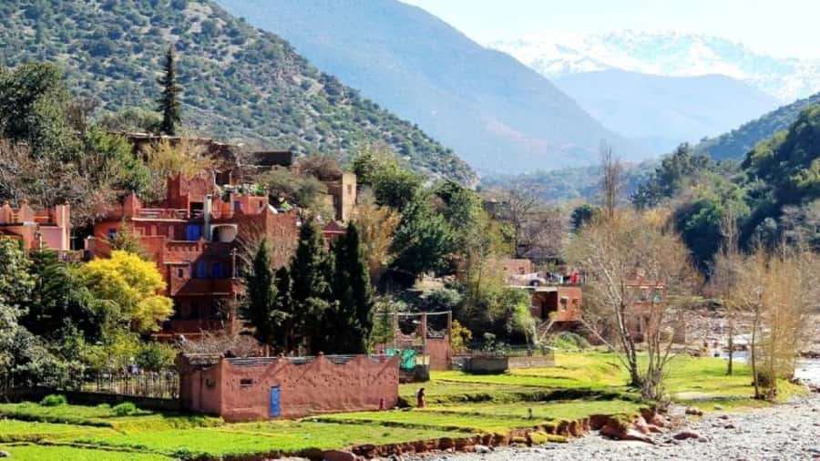 Marrakech: Ourika Valley waterfalls with guide& Berber lunch - The one-hour route to Ourika Falls