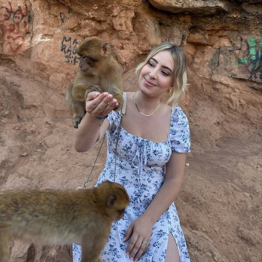 Marrakech: Ouzoud Waterfall, Guided Hike, Boat Ride & Lunch - Barbary macaques and the mountain path