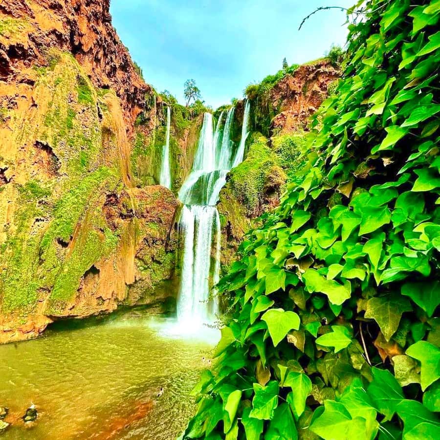 Marrakech: Ouzoud Waterfall, Guided Hike, Boat Ride & Lunch - Guides who add value to the day