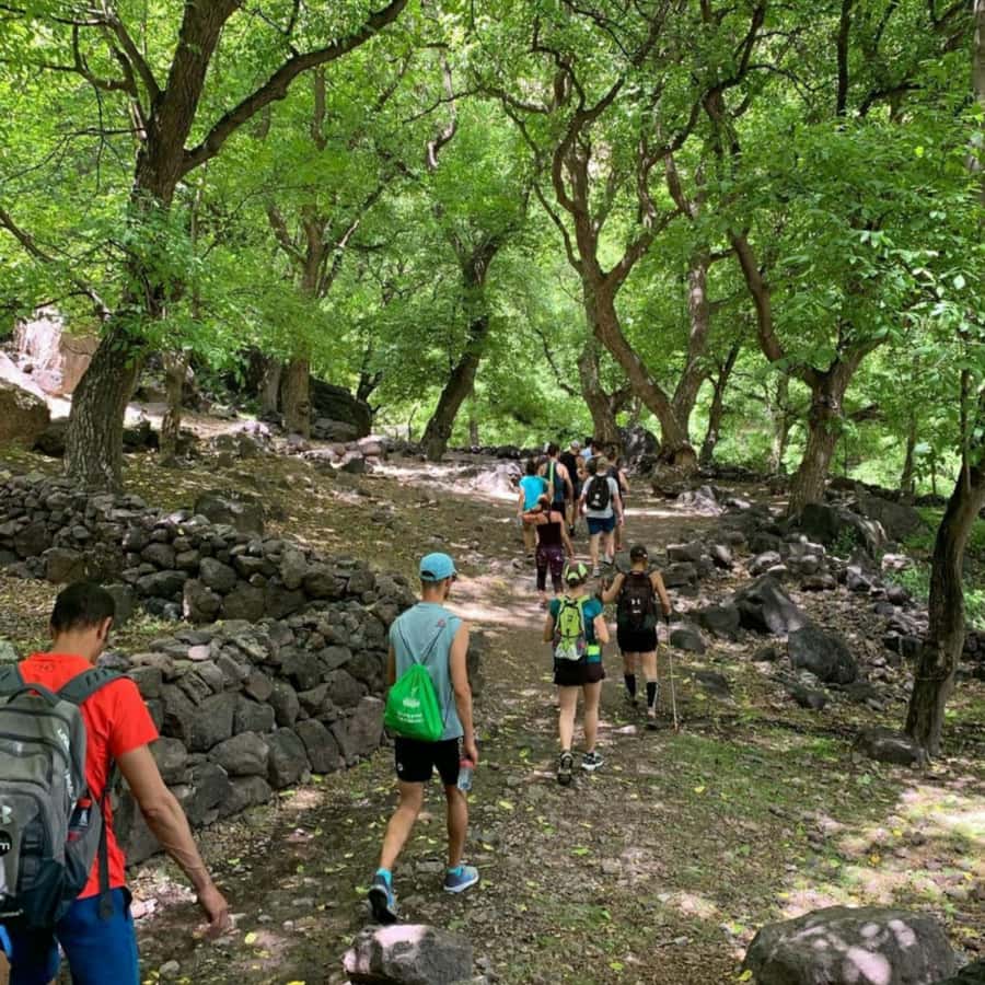 Marrakech: Ouzoud Waterfall, Guided Hike, Boat Ride & Lunch - The three-hour road from Marrakech