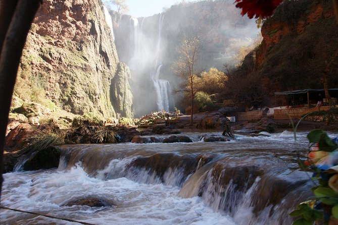 Marrakech: Ouzoud Waterfalls Guided Day Trip with Boat Ride - Barbary macaques along the trail