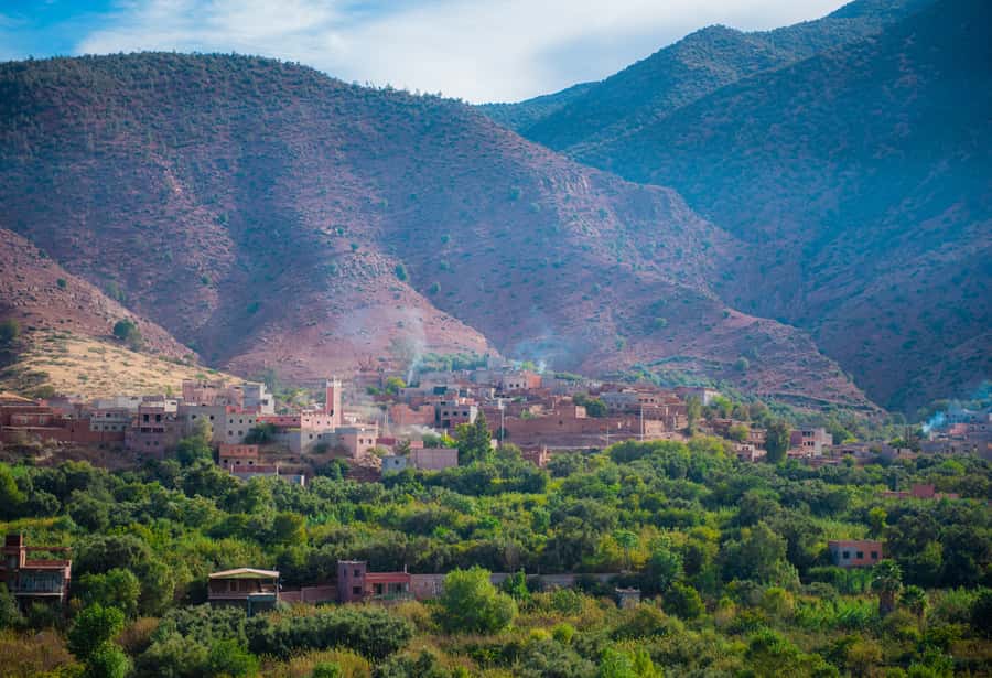 Marrakech: Ouzoud Waterfalls Trip, Guide & Boat + Lunch - Monkeys, olive groves, and the valley path