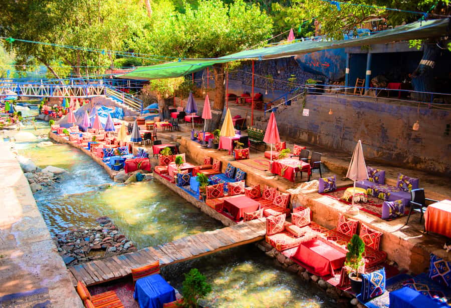 Marrakech: Ouzoud Waterfalls Trip, Guide & Boat + Lunch - Transport, language, and group comfort