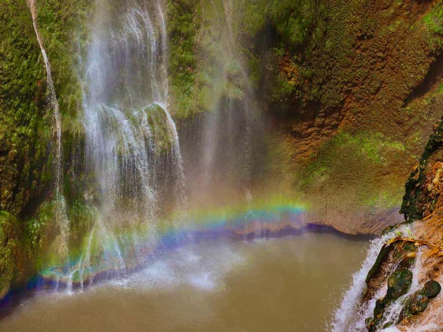 Marrakech: Ouzoud Waterfalls Trip, Guided Hike & Boat Option - The Long Drive and the 15-Minute Café Stop