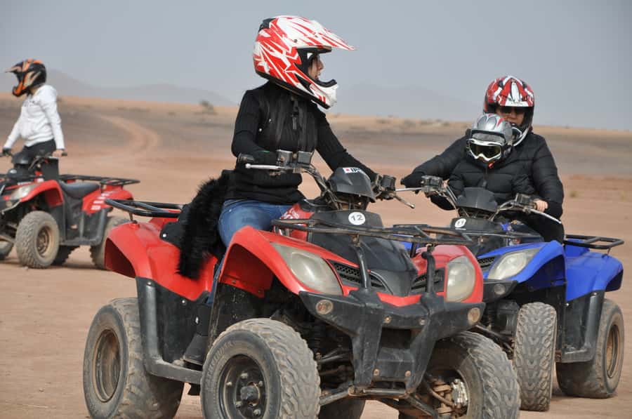 Marrakech: pack quad and camel ride in the palm grove - Two hours through the Palmeraie