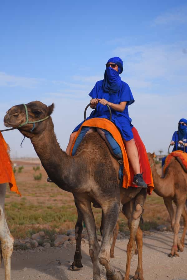 Marrakech: pack quad and camel ride in the palm grove - Guides, safety, and the personal touch