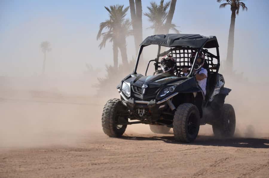 Marrakech: Palm Grove and Desert Buggy excursion - Who will enjoy this Marrakech buggy trip?