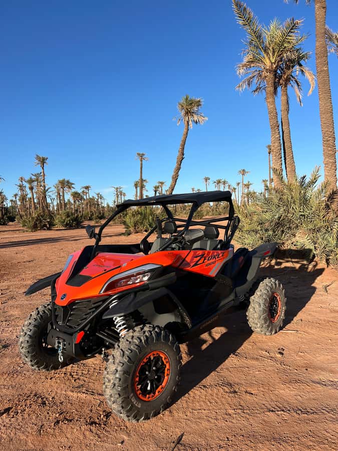 Marrakech : Palm Grove and jbilat Desert Buggy 1000cc Tour - Key points at a glance
