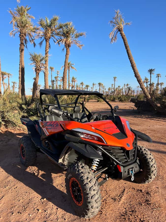Marrakech : Palm Grove and jbilat Desert Buggy 1000cc Tour - Leaving Marrakech for the rocky Jbilat desert