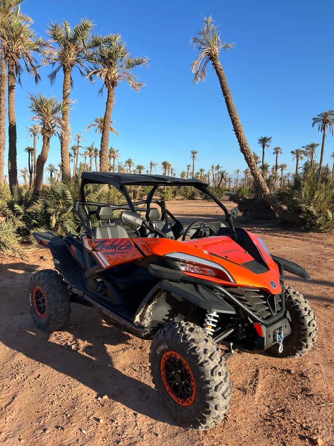 Marrakech : Palm Grove and jbilat Desert Buggy 1000cc Tour - Two hours through the Palmeraie and Jbilat tracks
