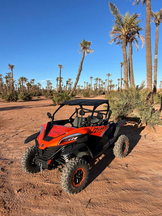Marrakech : Palm Grove and jbilat Desert Buggy 1000cc Tour - A 15-minute mint-tea stop at a traditional villa