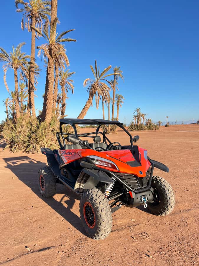 Marrakech : Palm Grove and jbilat Desert Buggy 1000cc Tour - A 10-minute photo pause among the palms