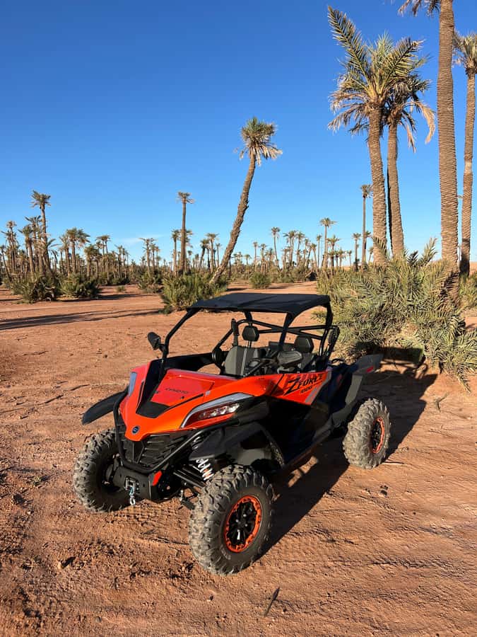 Marrakech : Palm Grove and jbilat Desert Buggy 1000cc Tour - What the $79 price really covers