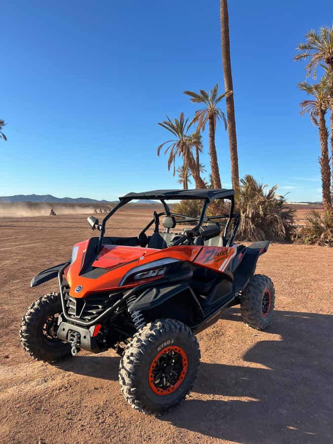 Marrakech : Palm Grove and jbilat Desert Buggy 1000cc Tour - Who will enjoy this outing most