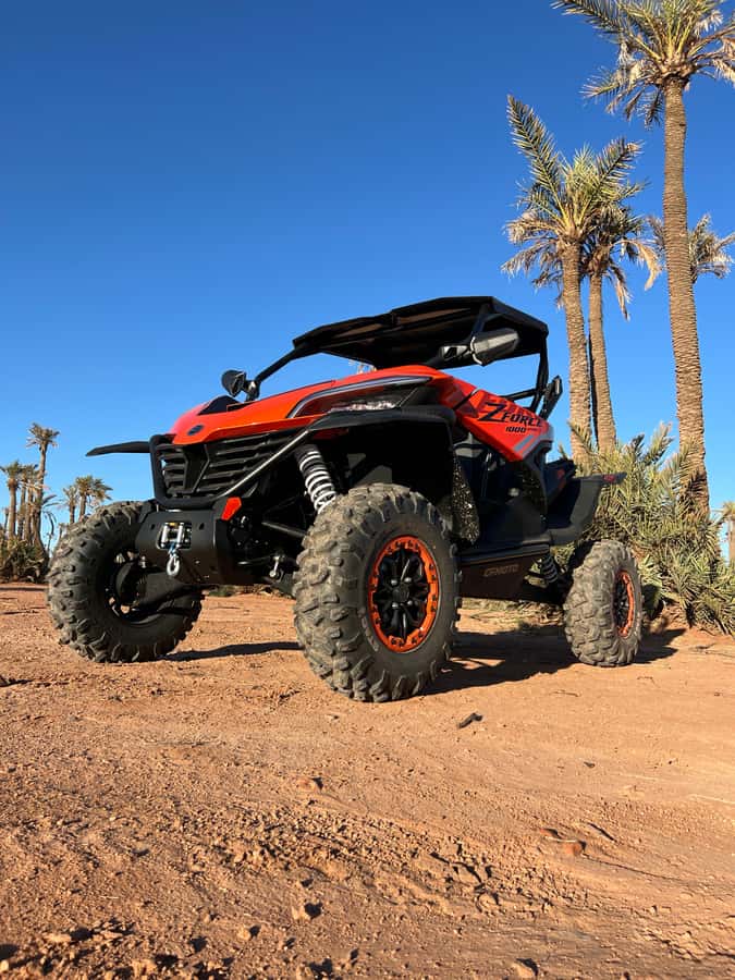 Marrakech : Palm Grove and jbilat Desert Buggy 1000cc Tour - Should you book the Marrakech buggy tour?