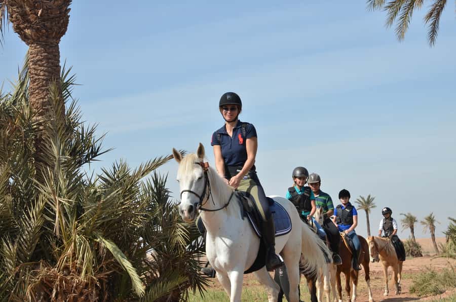Marrakech: Palm Grove Horseback Riding Tour - Key points to know before you book