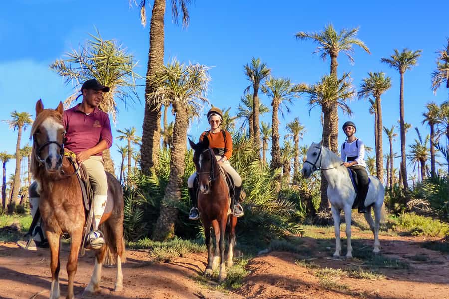 Marrakech: Palm Grove Horseback Riding Tour - One hour through the Palmeraie