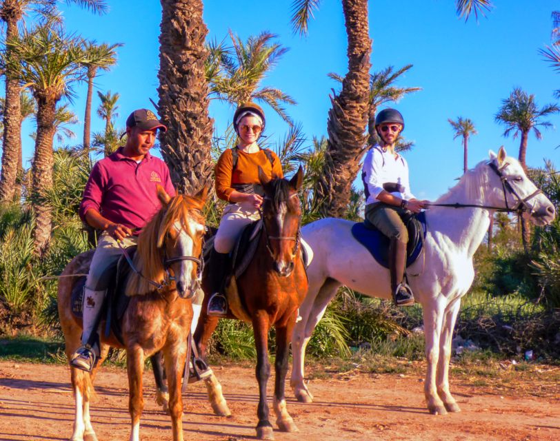 Marrakech: Palm Grove Horseback Riding Tour - Should you book the Marrakech Palmeraie horseback ride?
