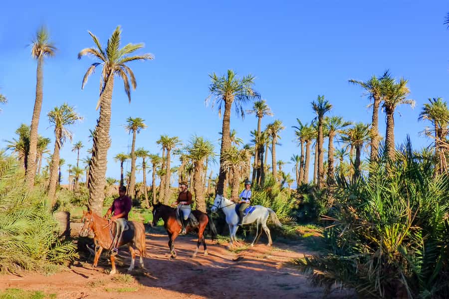 Marrakech: Palm Grove Horseback Riding Tour - Meeting the horses and getting ready