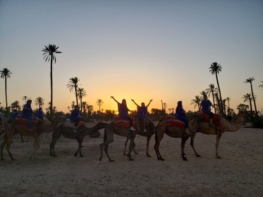 Marrakech palm grove: Sunset camel ride - What the $46 price really covers