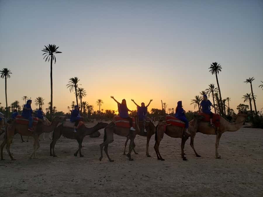 Marrakech palm grove: Sunset camel ride - Which guides and service details matter