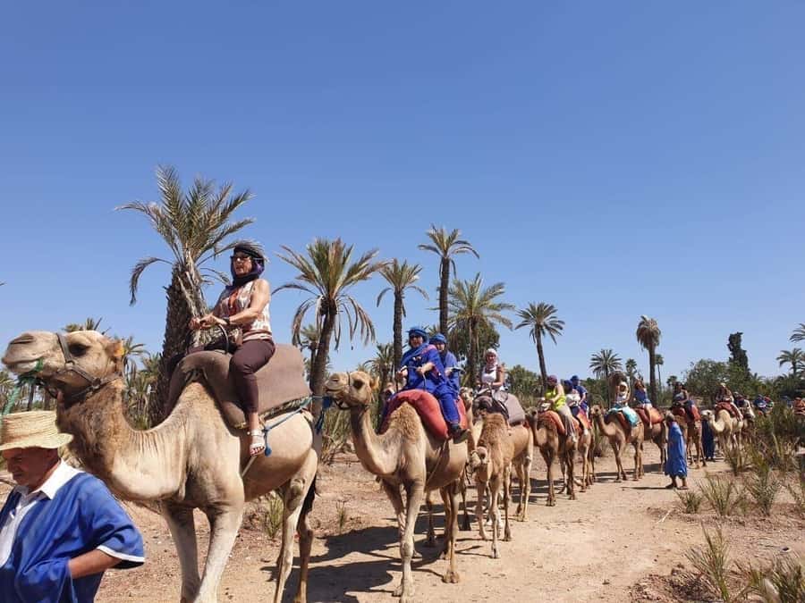 Marrakech Palmeraie: Camel Ride at Sunset - Riding through the Palmeraie at sunset