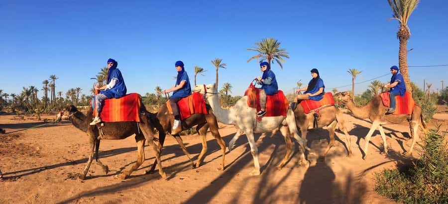 Marrakech Palmeraie: Camel Ride at Sunset - The guides are a big part of the experience