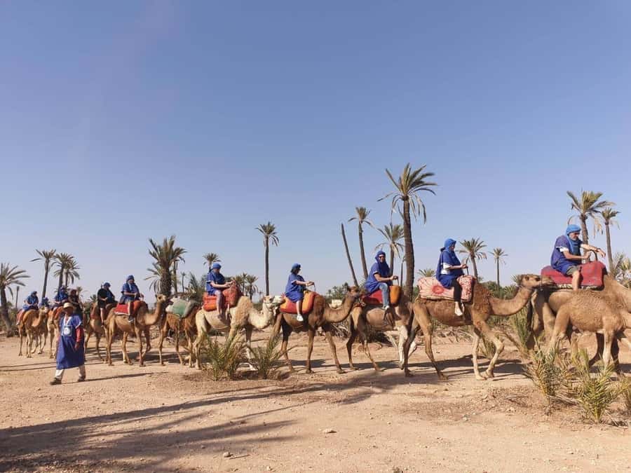 Marrakech Palmeraie: Camel Ride at Sunset - Is $20 good value for two hours?
