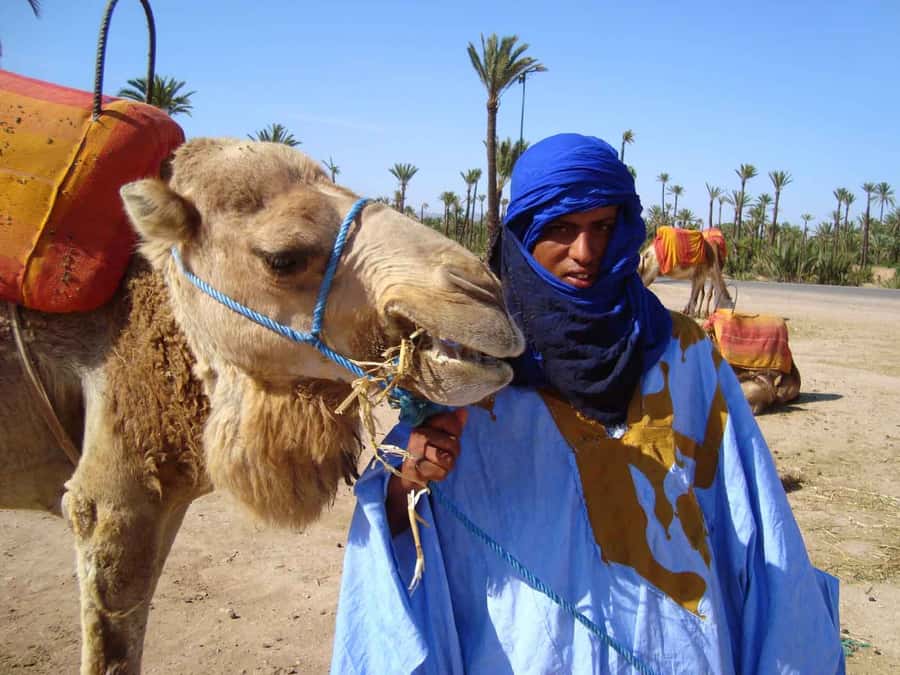 Marrakech Palmeraie: Camel Ride at Sunset - Who will enjoy this camel ride most?