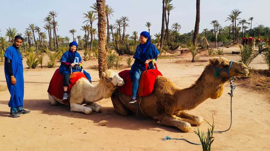 Marrakech Palmeraie: Camel Ride & Quad Bike Experience - The camel ride beneath the palm trees