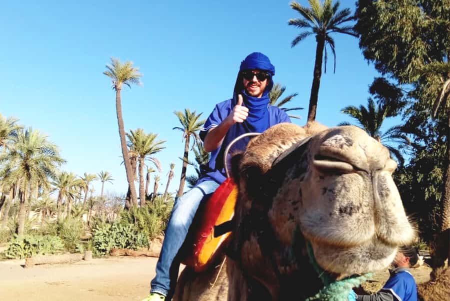 Marrakech Palmeraie: Camel Ride & Quad Bike Experience - What the $52 price really covers