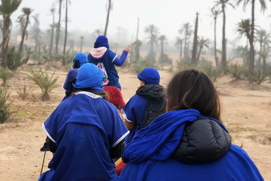 Marrakech Palmeraie: Camel Ride & Quad Bike Experience - Comfort, safety, and who should book