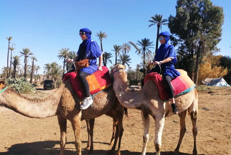 Marrakech Palmeraie: Camel Ride & Quad Bike Experience - Mint tea, village homes, and a slower pause