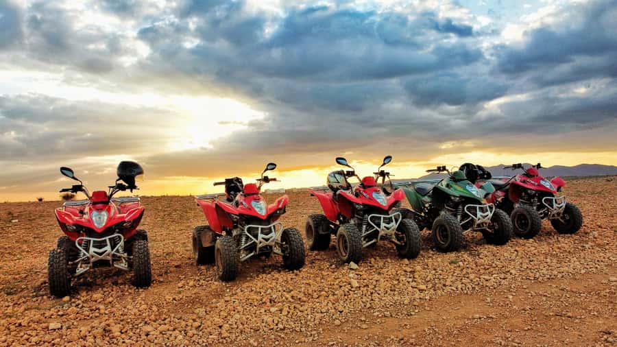 Marrakech: Palmeraie Guided Quad Biking Tour with Tea - Two hours among palms, rocks, and open ground