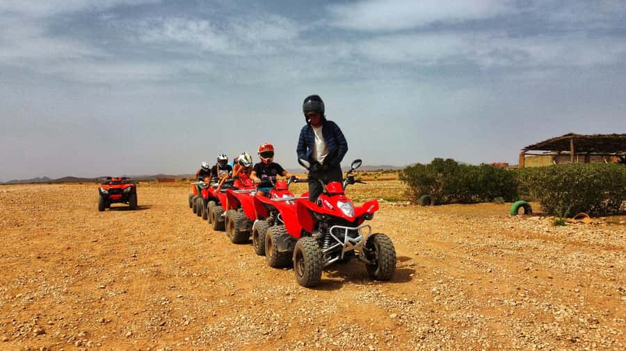 Marrakech: Palmeraie Guided Quad Biking Tour with Tea - Mint tea, bread, honey, and olives