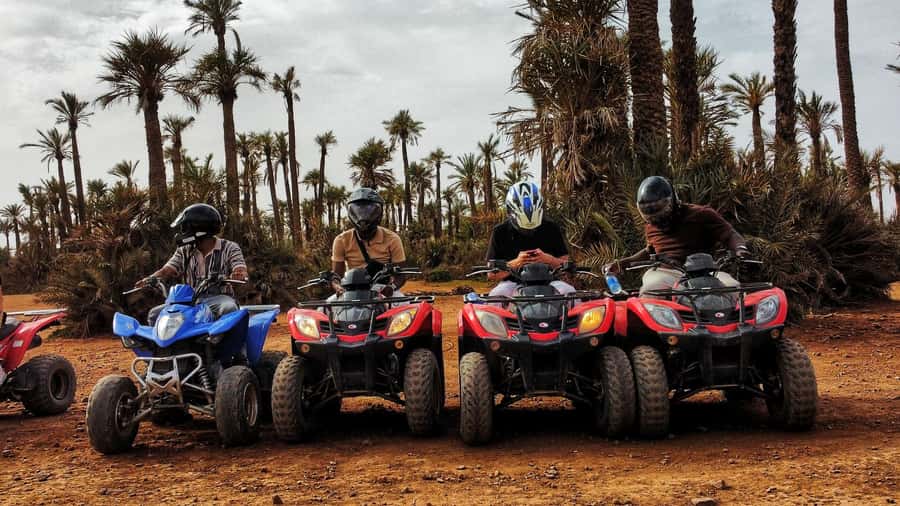 Marrakech: Palmeraie Guided Quad Biking Tour with Tea - Dust, heat, and what to wear