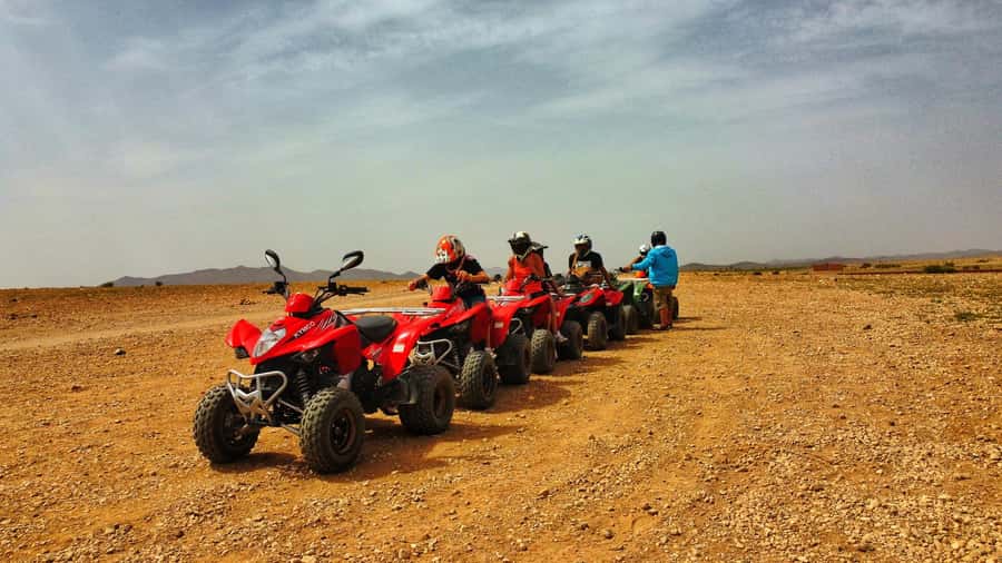Marrakech: Palmeraie Guided Quad Biking Tour with Tea - Who should book this ride?