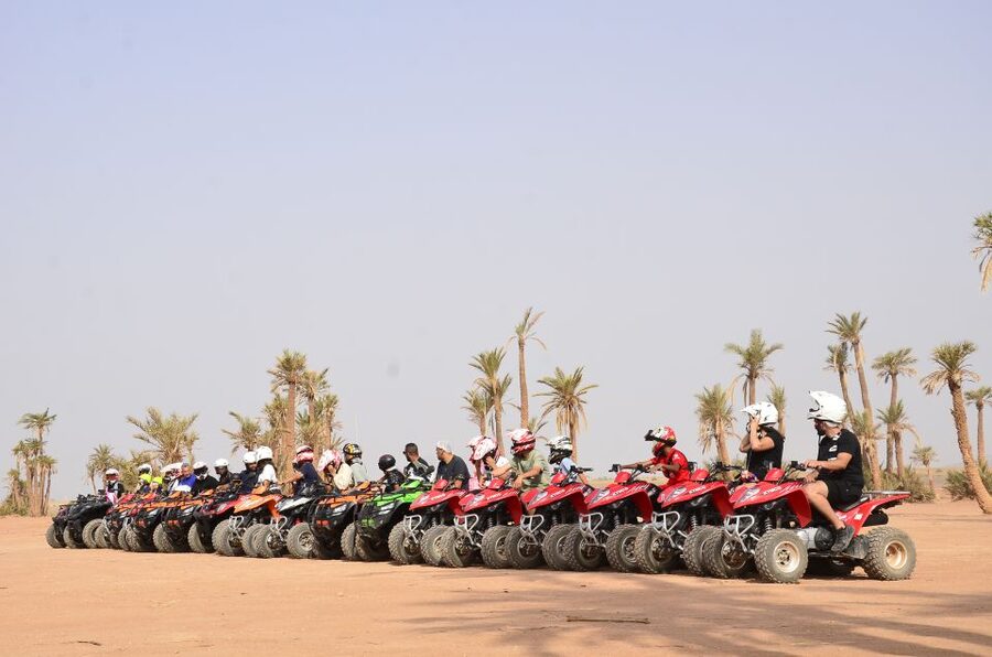 Marrakech: Palmeraie Guided Quad Tour with Tea Break - The photo stop gives you time to enjoy the setting