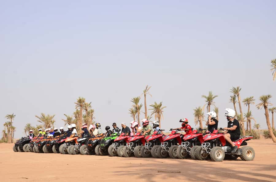 Marrakech: Palmeraie Guided Quad Tour with Tea Break - Guides, communication, and the overall organization