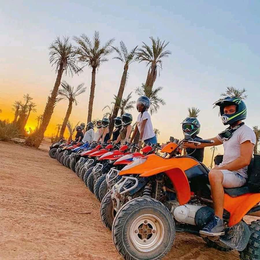Marrakech: Palmeraie Private Quad Bike Experience - Key points to know before you book