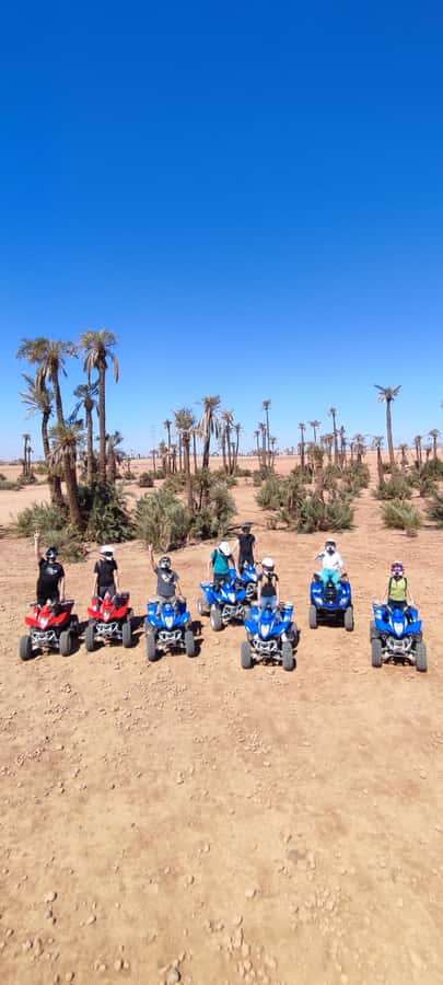 Marrakech: Palmeraie Private Quad Bike Experience - Who will enjoy this ride most