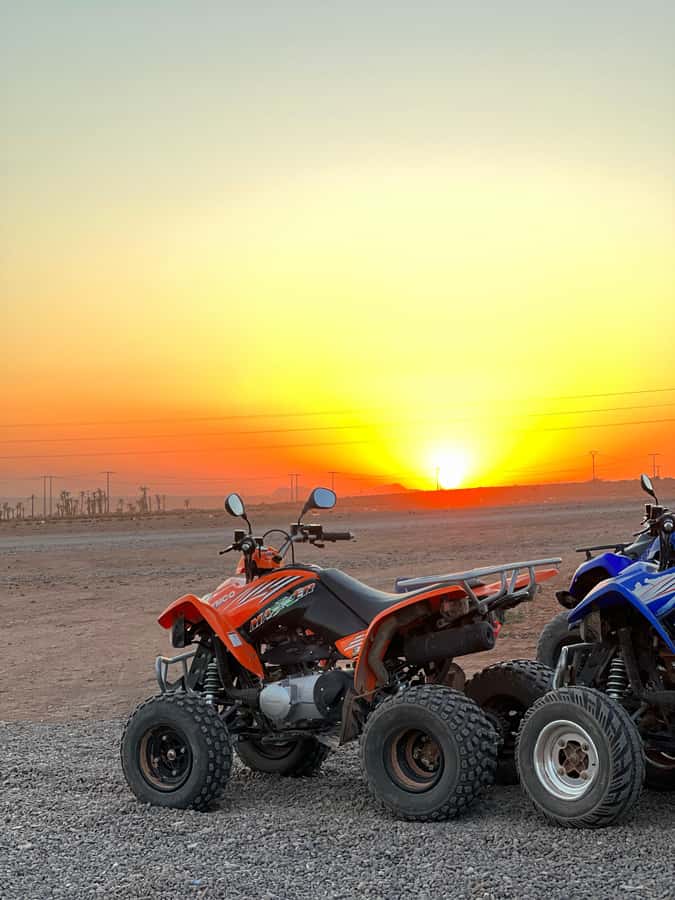 Marrakech: Palmeraie Private Quad Bike Experience - Should you book the Palmeraie quad experience?