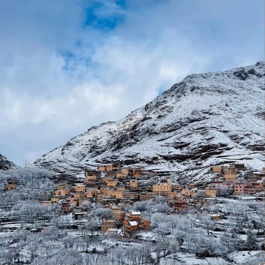 Marrakech: Paragliding, Camel Ride & Berber Villages Trip - The real reason to book: one day, four very different experiences