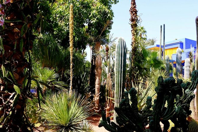 Marrakech Private Full-Day Walking Tour with Hotel Pickup and Drop-Off - A full day that connects old and new Marrakech