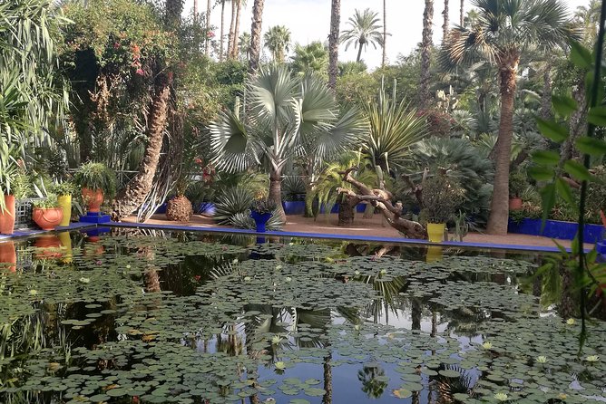 Marrakech: Private Guided Half-Day City Tour - Jemaa el-Fnaa, Marrakech’s social stage