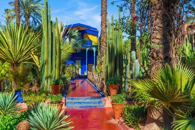Marrakech: Private Guided Half-Day City Tour - Choosing between a driver and a guide