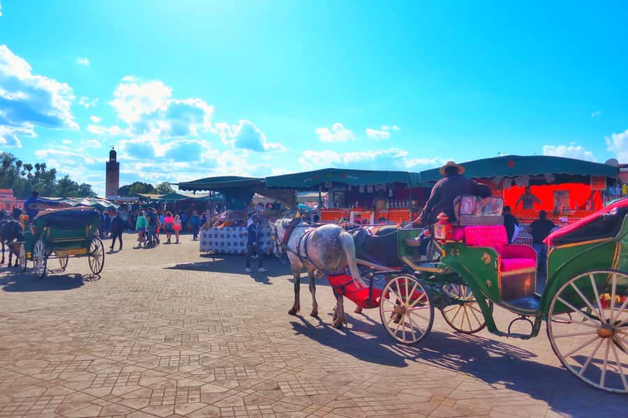 Marrakech: Private Half-Day City Highlights Tour - Key points to know before you book