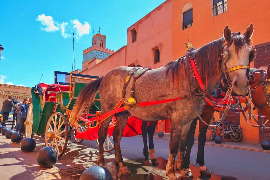 Marrakech: Private Half-Day City Highlights Tour - Bahia Palace and the art of Moroccan interiors